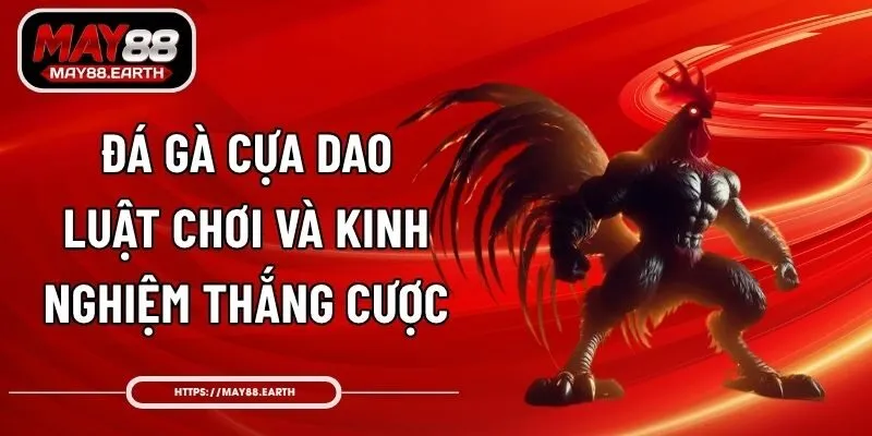 Đá Gà Cựa Dao – Luật Chơi Và Kinh Nghiệm Thắng Cược