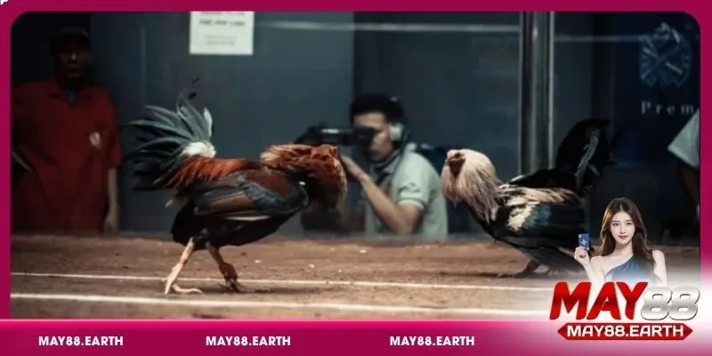 Đánh giá mức độ sát thương sau mỗi pha va chạm