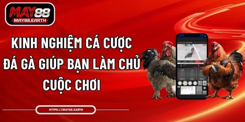 Kinh Nghiệm Cá Cược Đá Gà Giúp Bạn Làm Chủ Cuộc Chơi