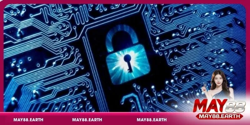 Nội dung cốt lõi trong chính sách quyền riêng tư May88