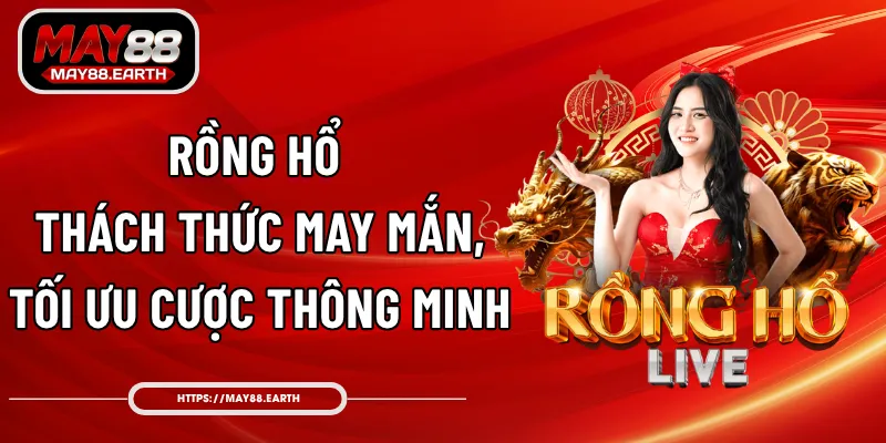 Rồng Hổ - Thách Thức May Mắn, Tối Ưu Cược Thông Minh